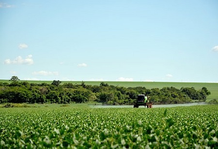 Die Vorteile und Risiken von Agroche mik alien in der Landwirtschaft