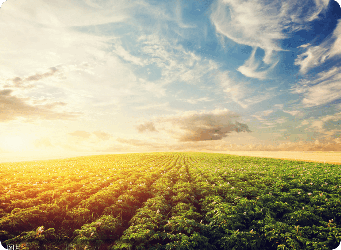 Was ist die am häufigsten verwendete Chemikalie in der Landwirtschaft?