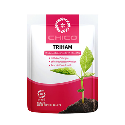 TRIHAM®-Bio-Tricho derma harzianum Bio stimulans für die Pflanzen krankheit