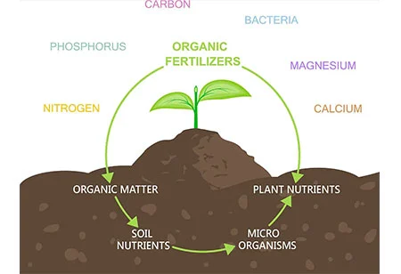 Ökologische Landwirtschaft entwickeln und biologische Düngemittel gut nutzen