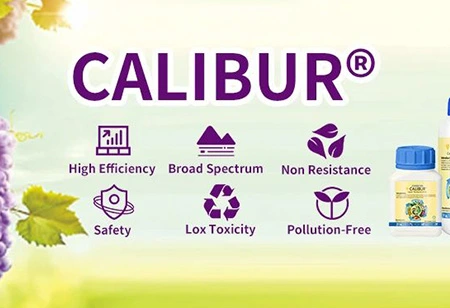 So verhindern Sie Ernte krankheiten während der Regenzeit