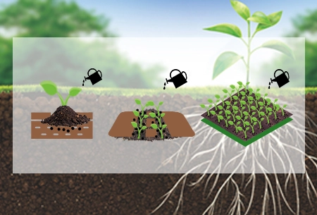 Arpha Gold®-Nützliche Pilze für eine nachhaltige Landwirtschaft nutzen
