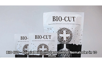 BIO CUT®-Effiziente und schnelle Steuerung von Nematoden auf innovative grüne Weise!