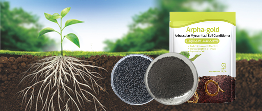 arphagold-enhance-root-health-tolerance-resistance-of-crops_04.png arphagold-enhance-root-health-tolerance-resistance-of-crops_04.png